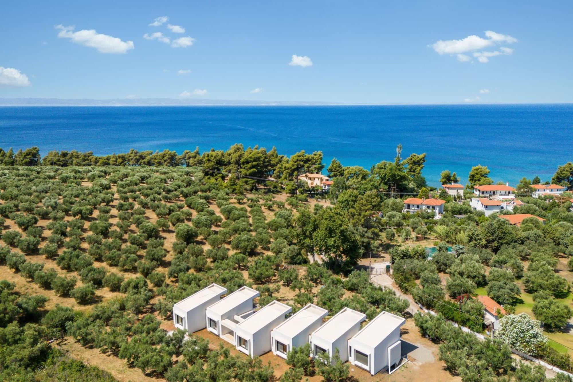 Olea Villas By Halu!, Cozy Villa In Nikiti Lagomandra Exterior photo